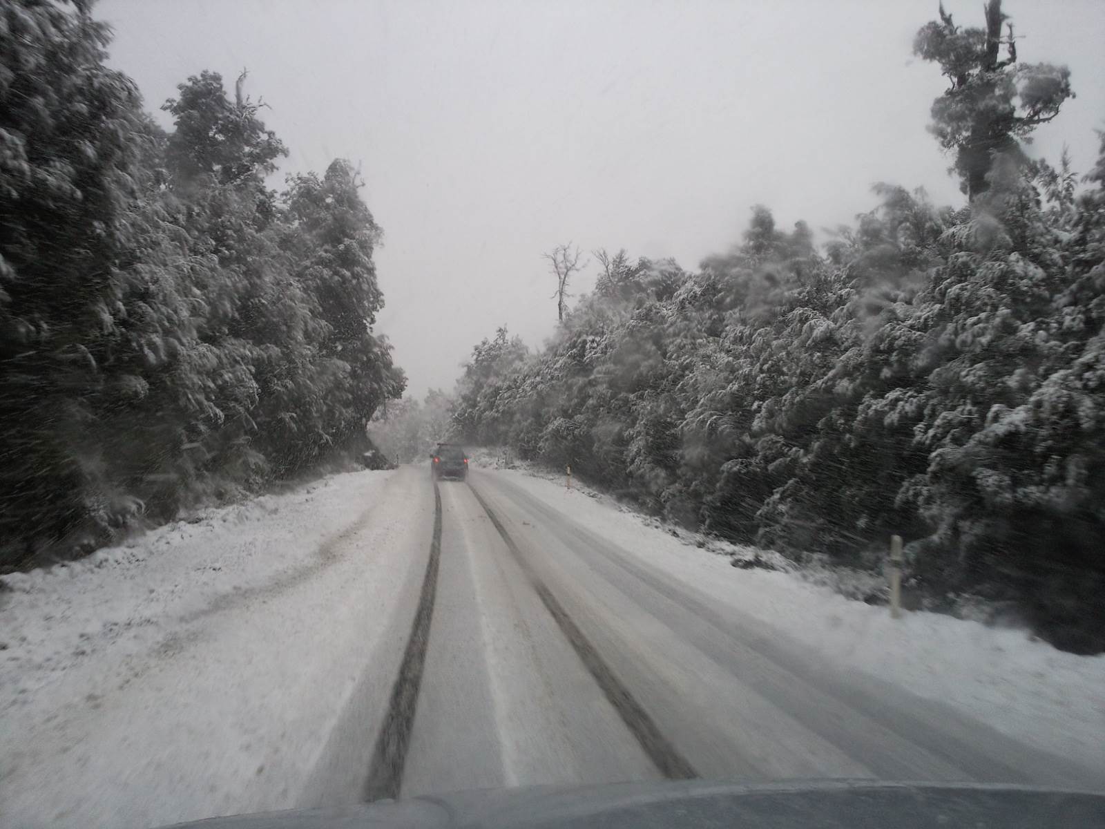 road to henty