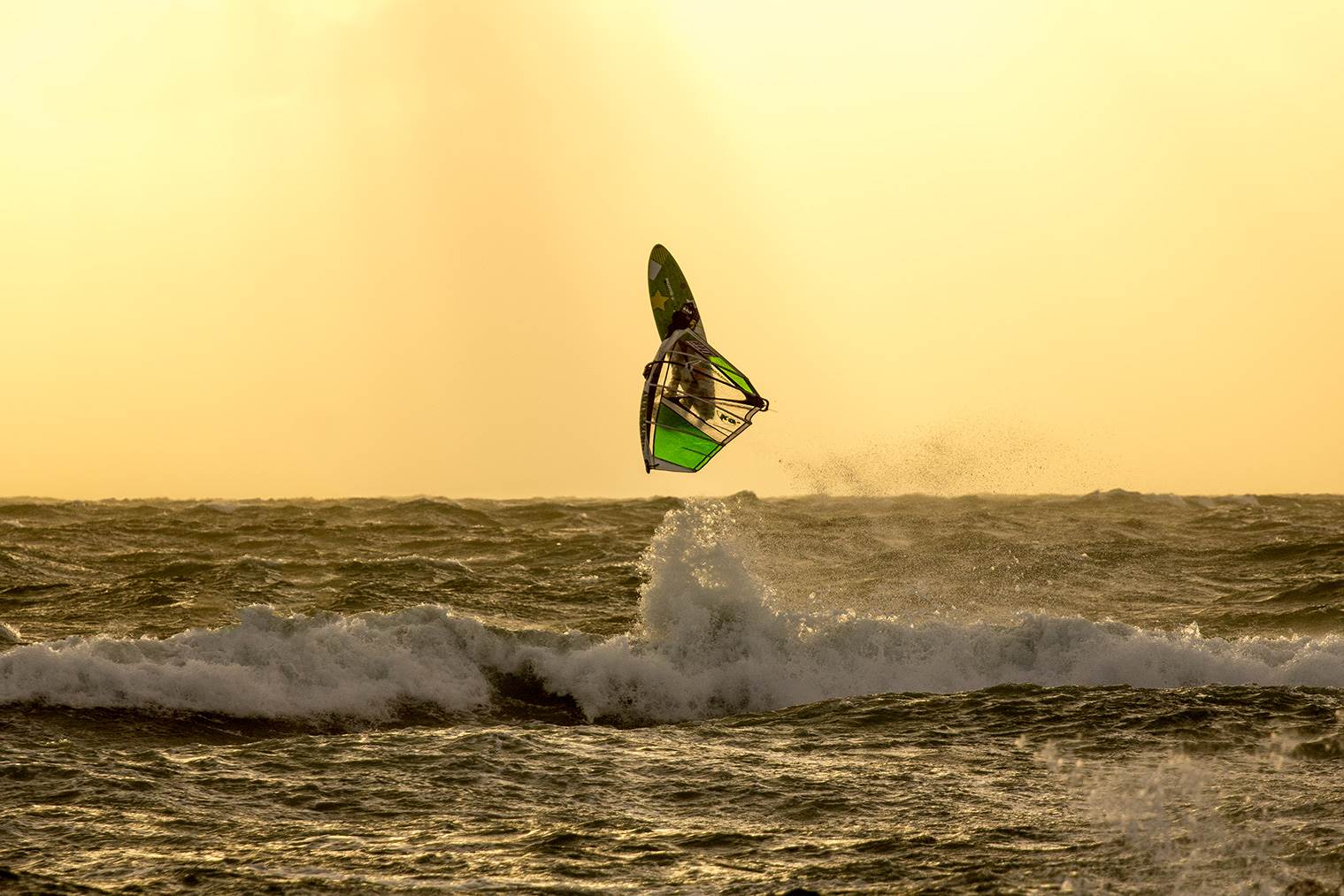 Dutchies action