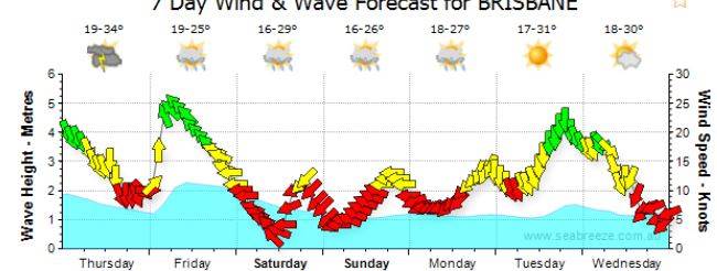 Bribie week 4
