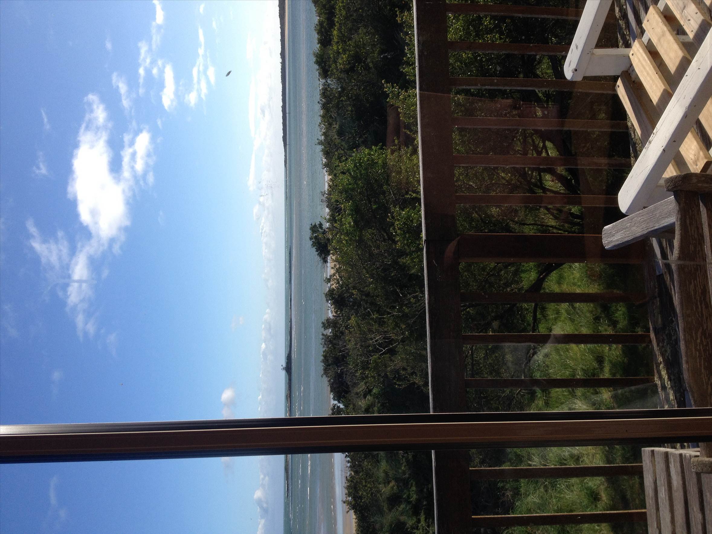 View from home