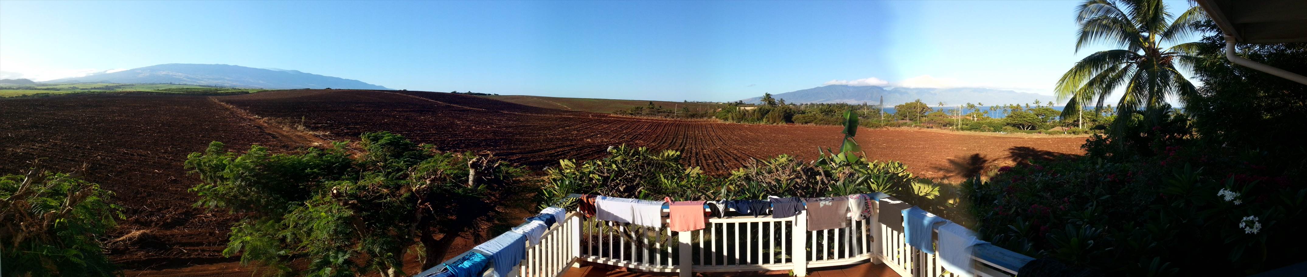 view from balcony