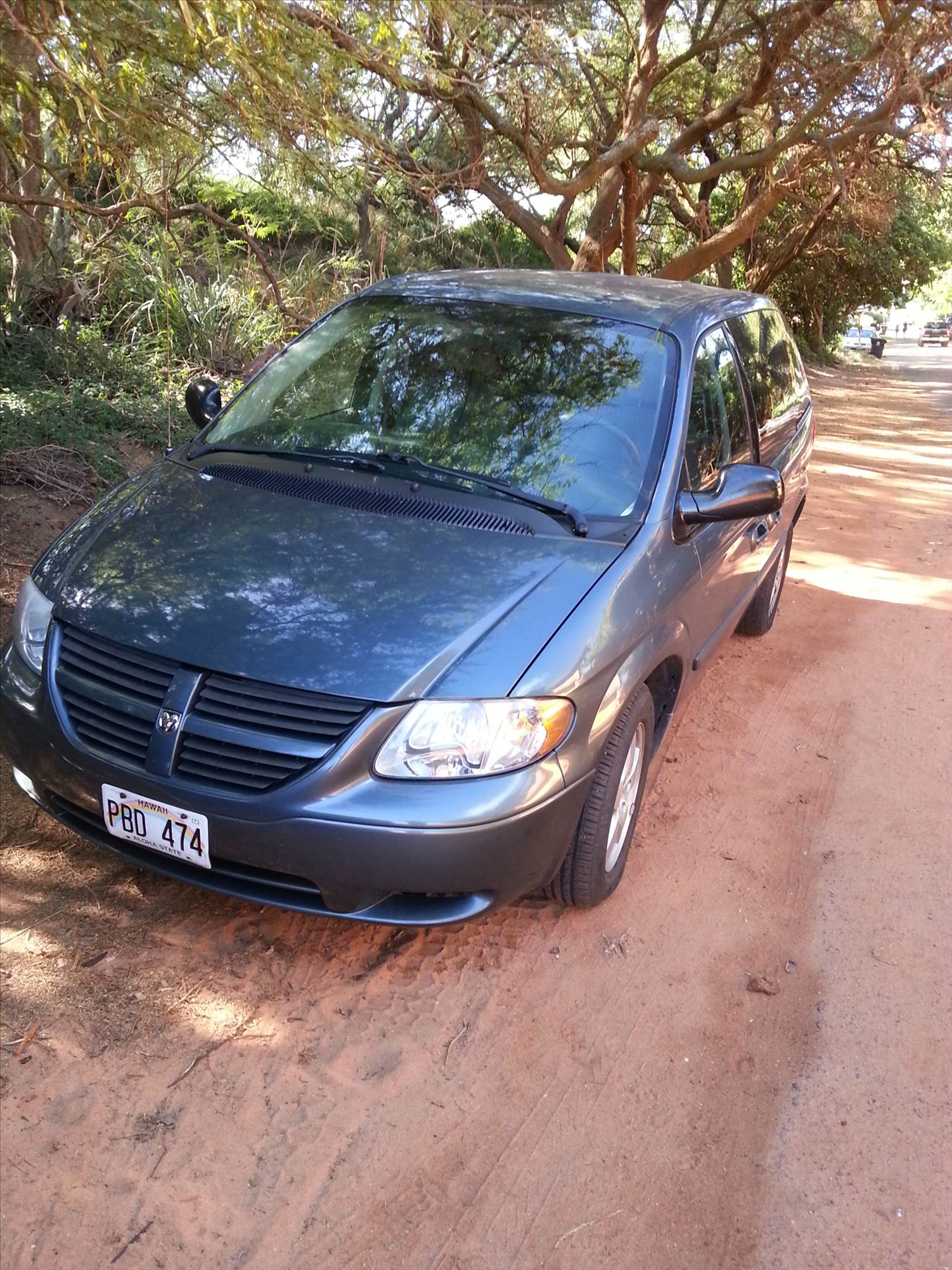 Dodge Caravan rental