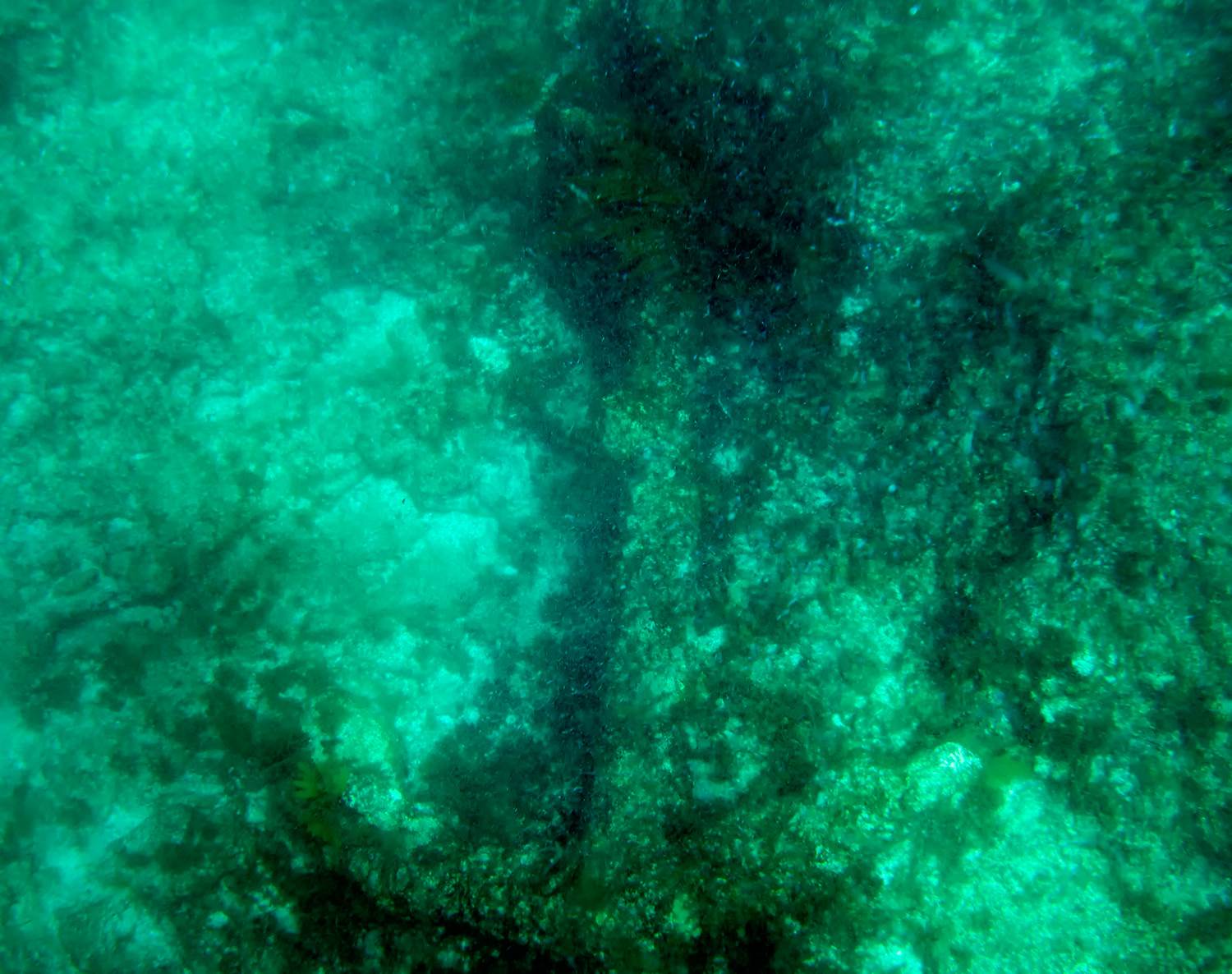 abrolhos 2014