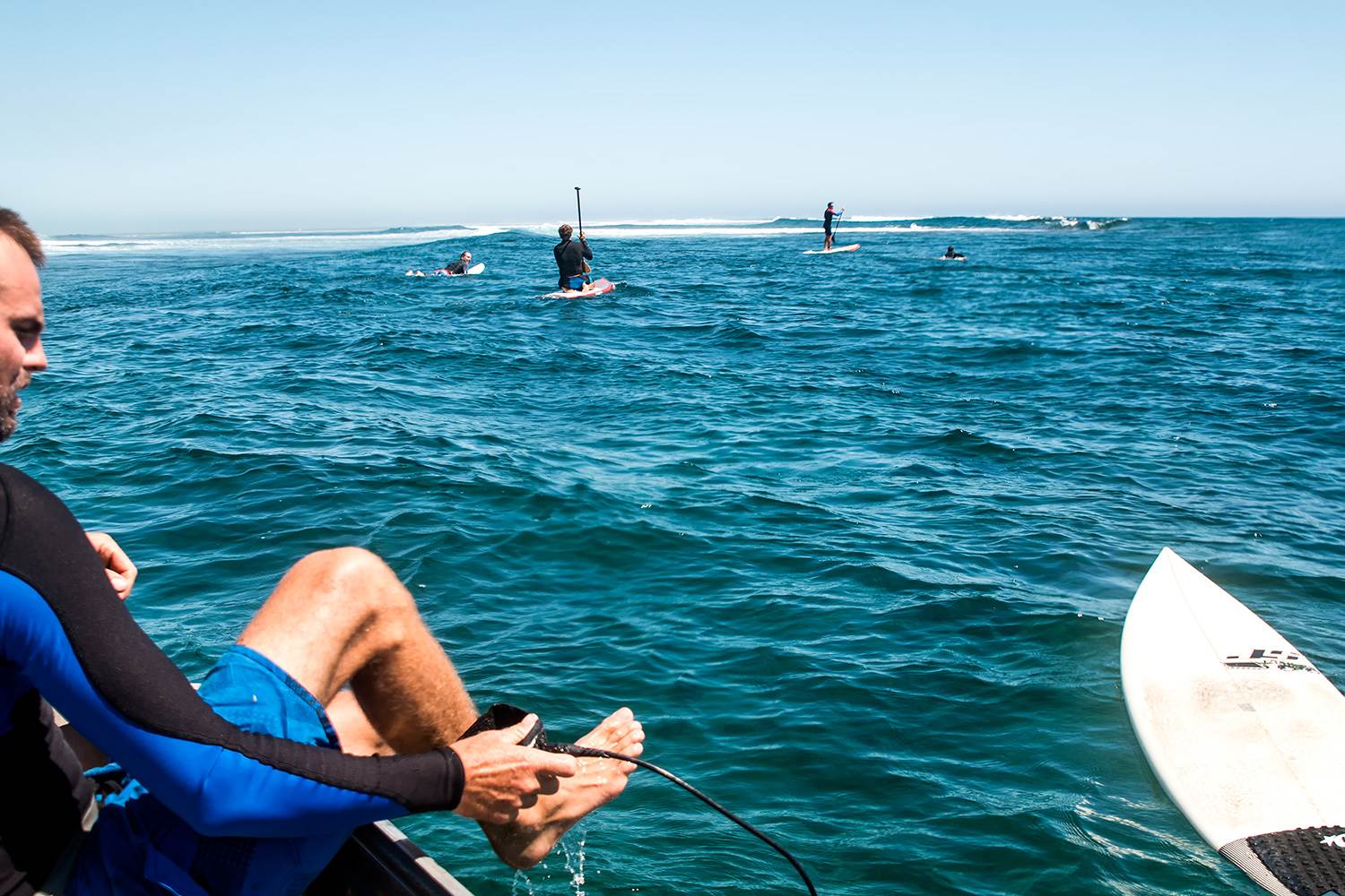 abrolhos 2014