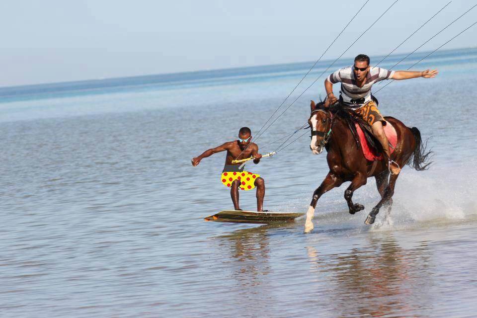 kite horse two.