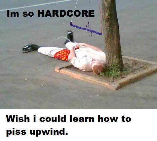 adsacvdfdbgb