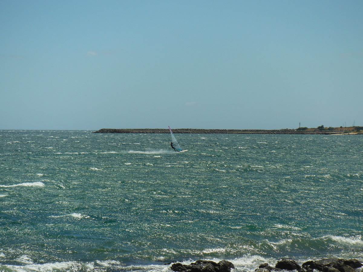 Wild Lagoon