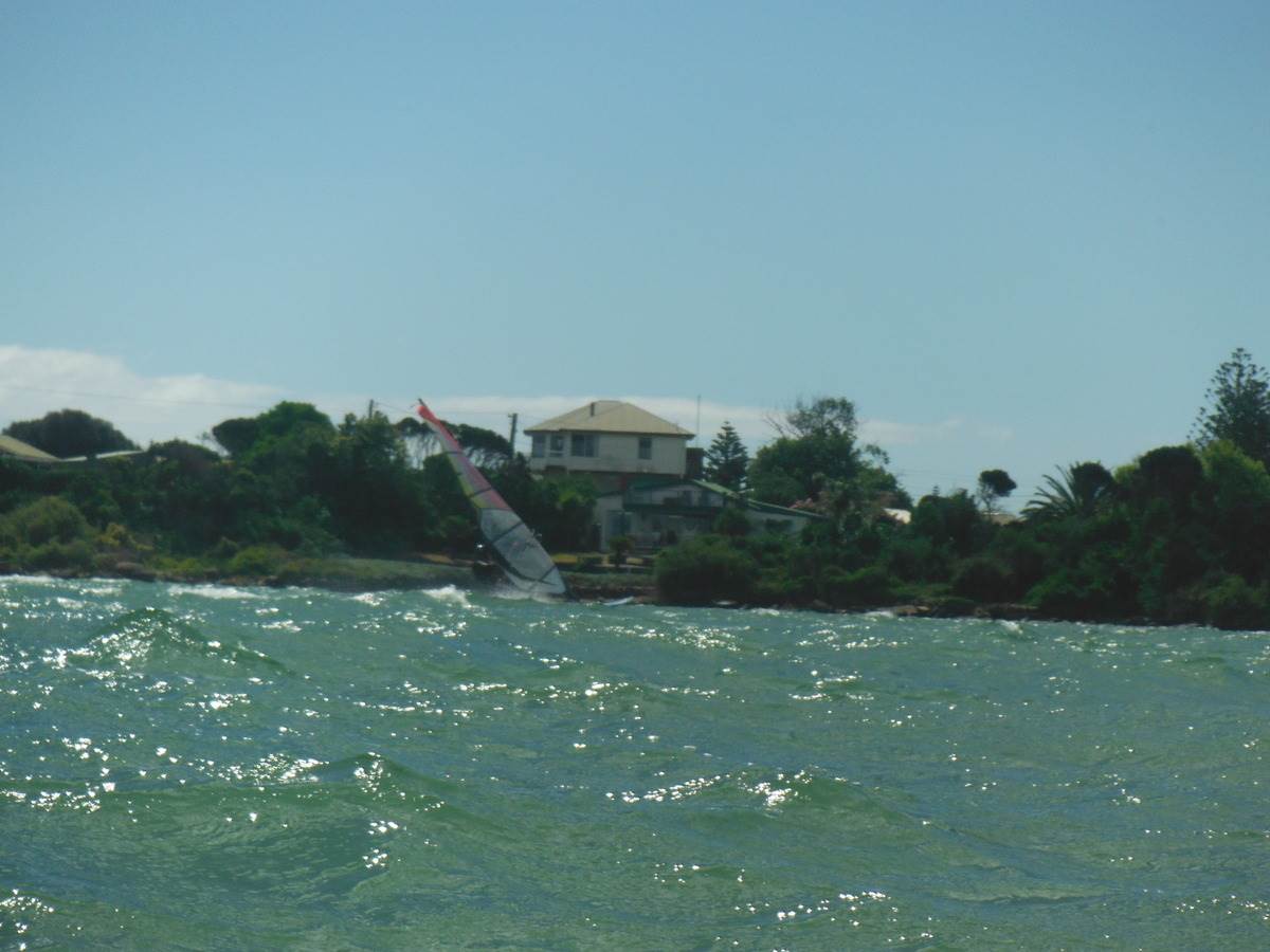 Wild Lagoon