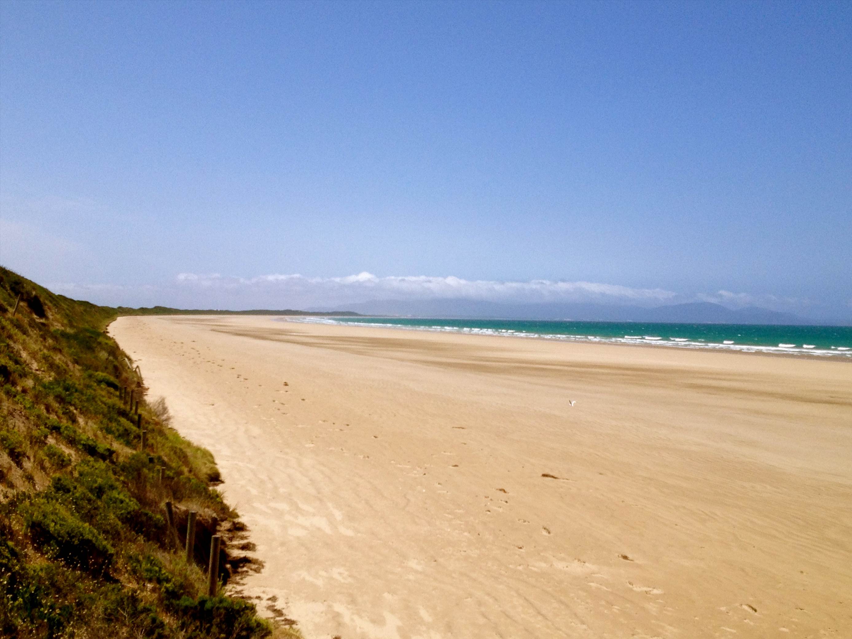 First time wave sail at Waratah Bay