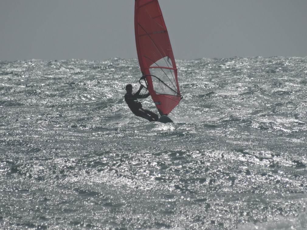 DSC01010