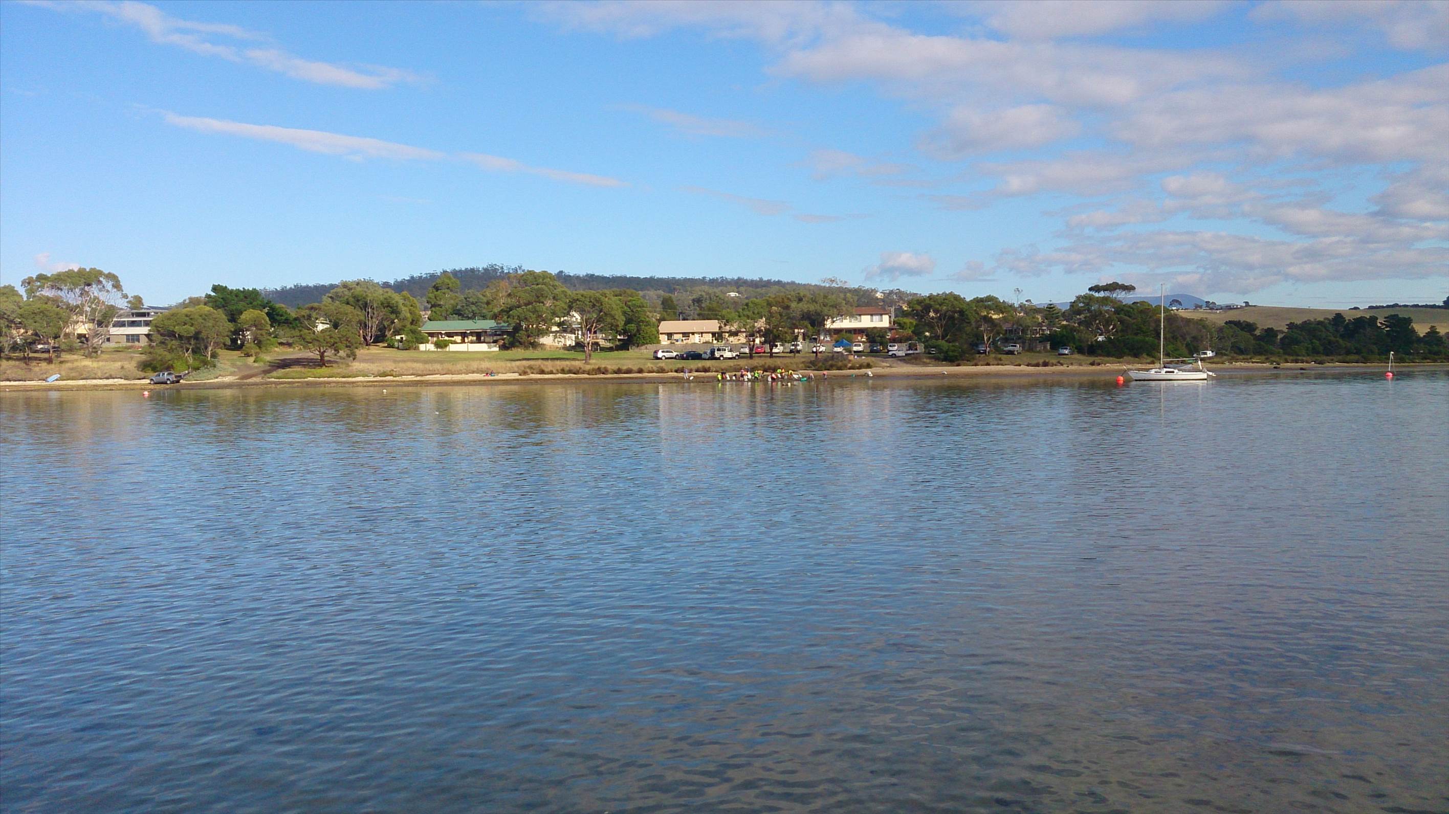 oyster day cremorne