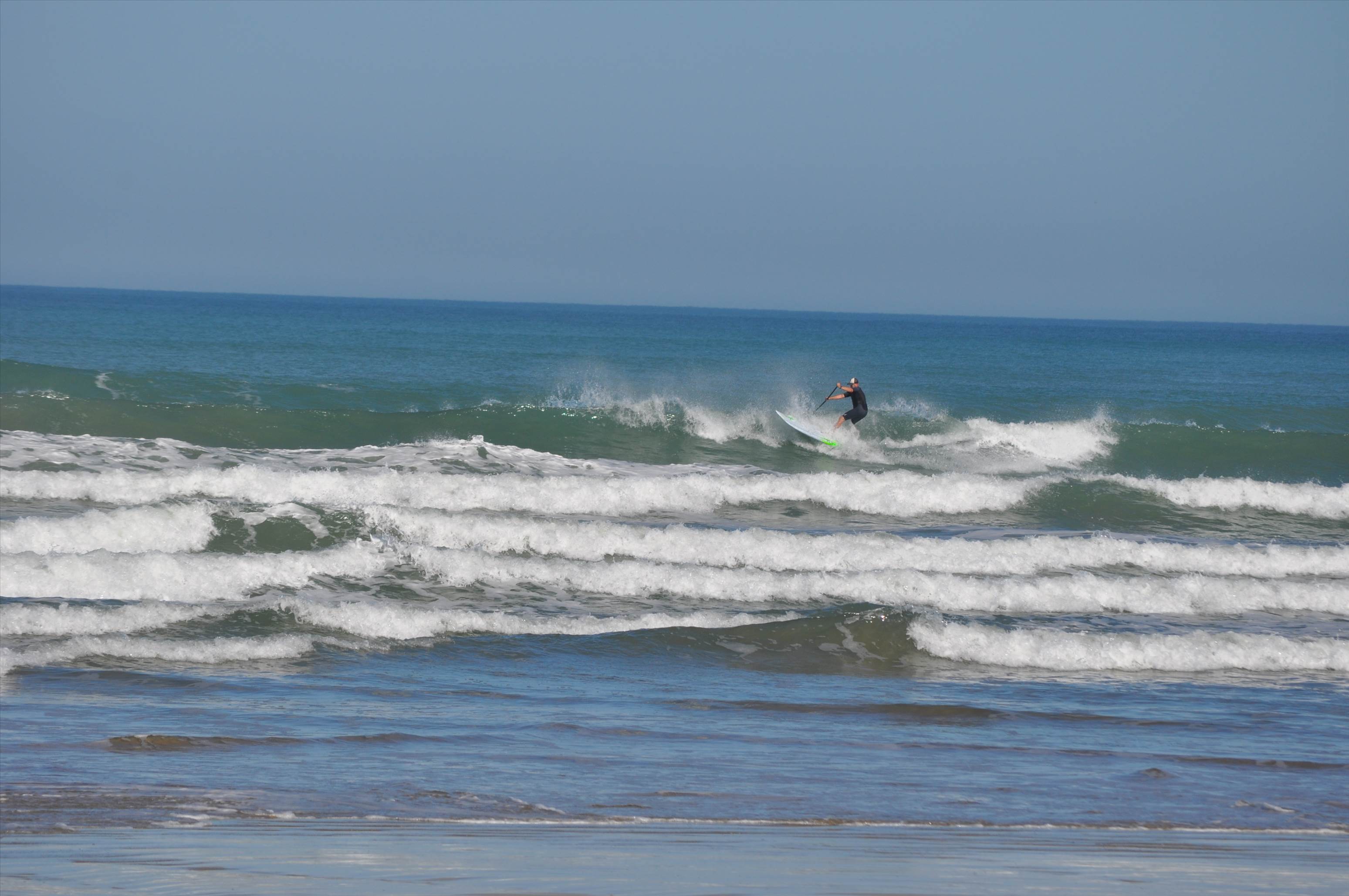 WSA series 1