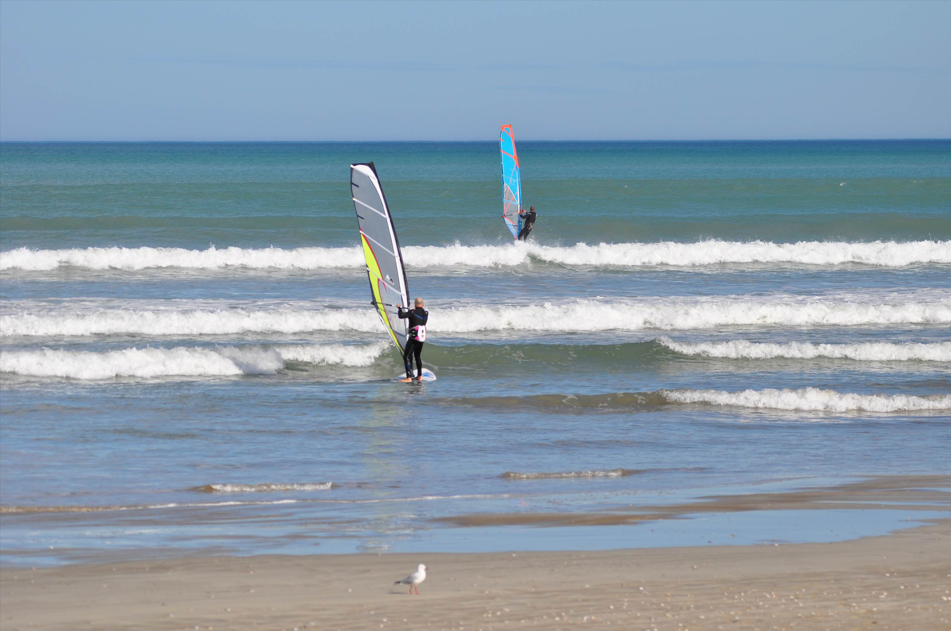 WSA series 1