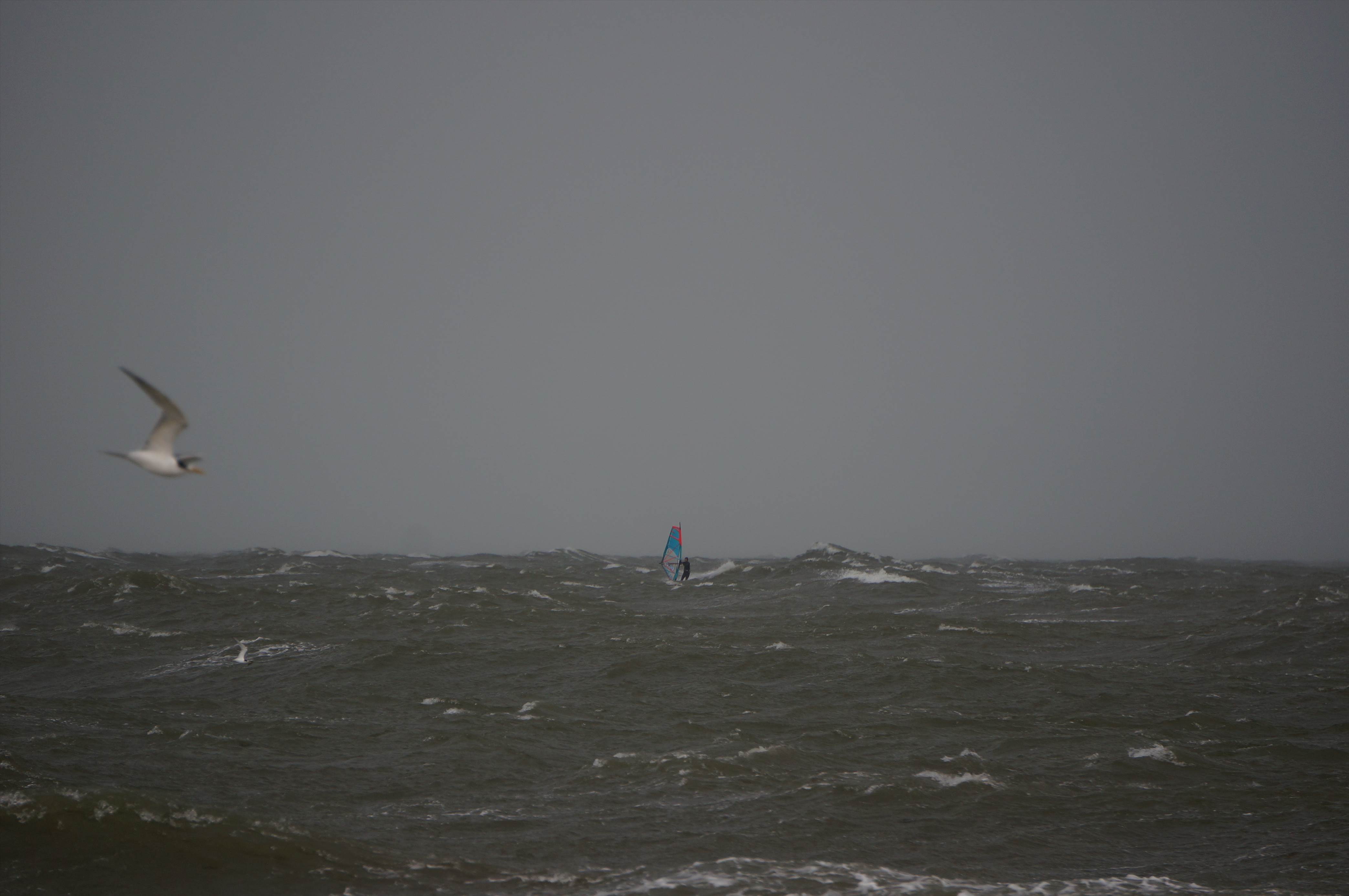 DSC07806