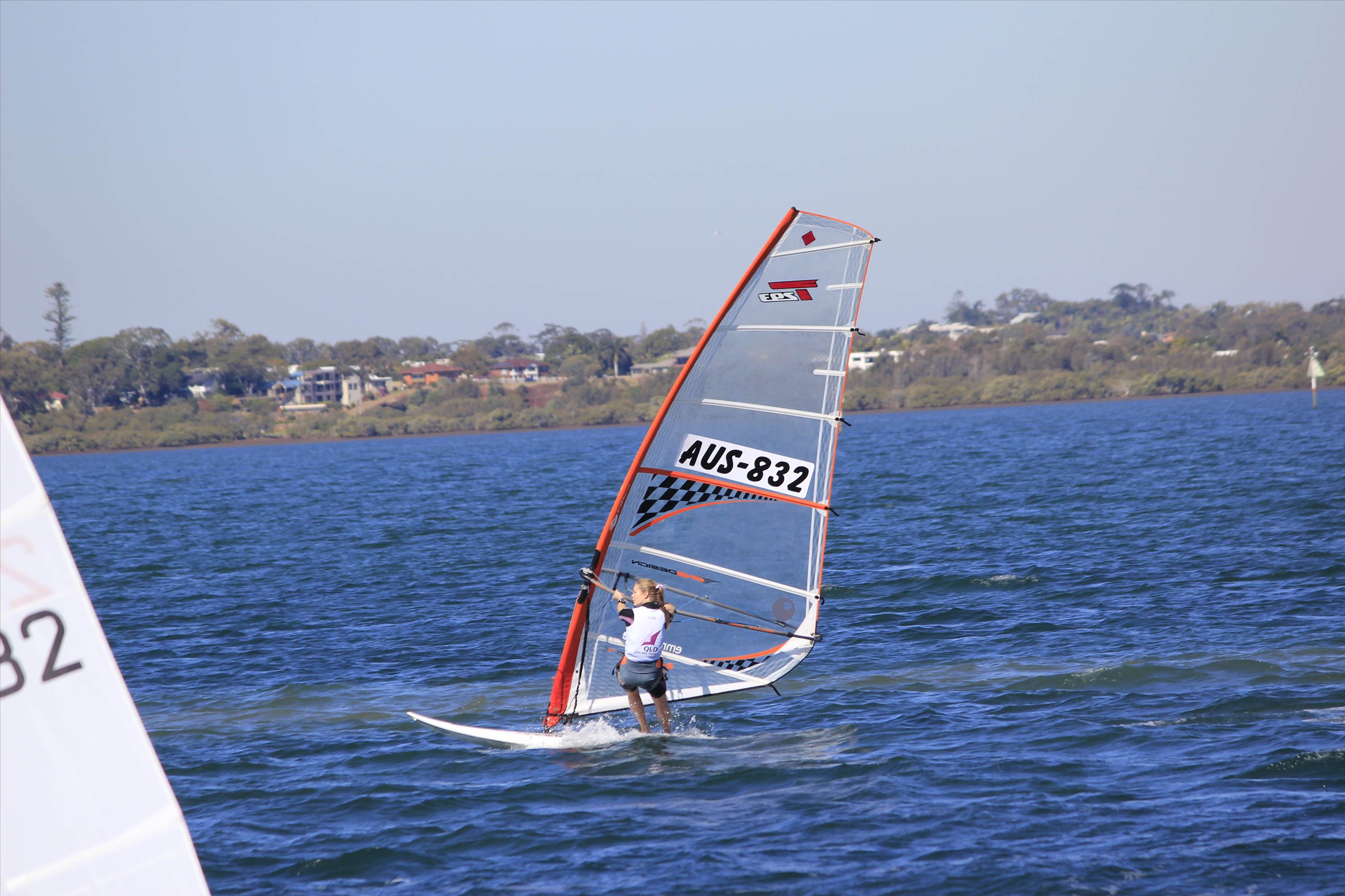 BIC Techno 293