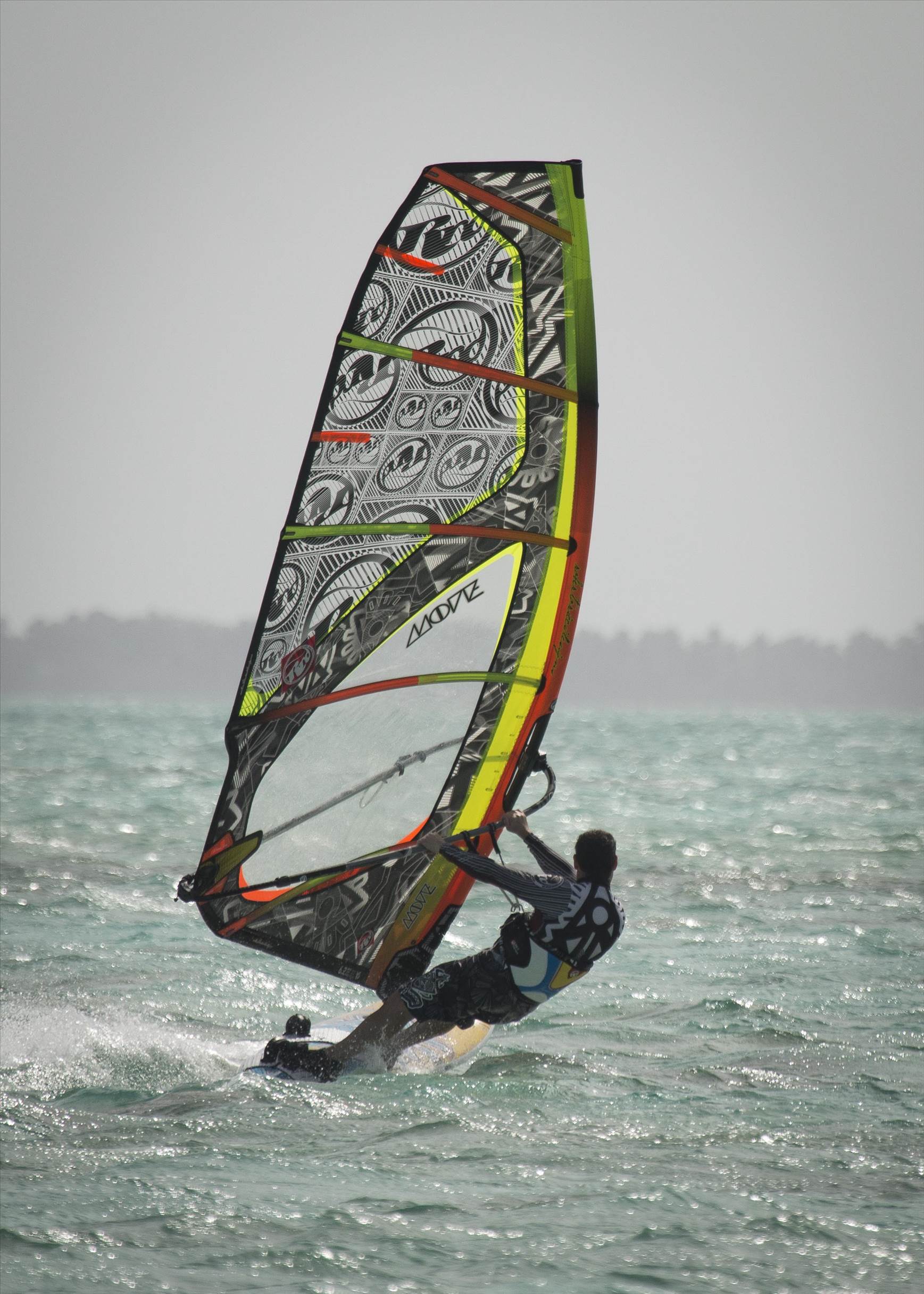 cocos 2014 Paul day8 7