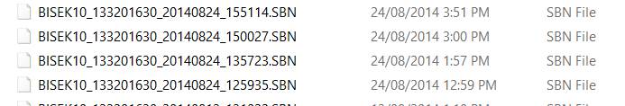 GT31 Files