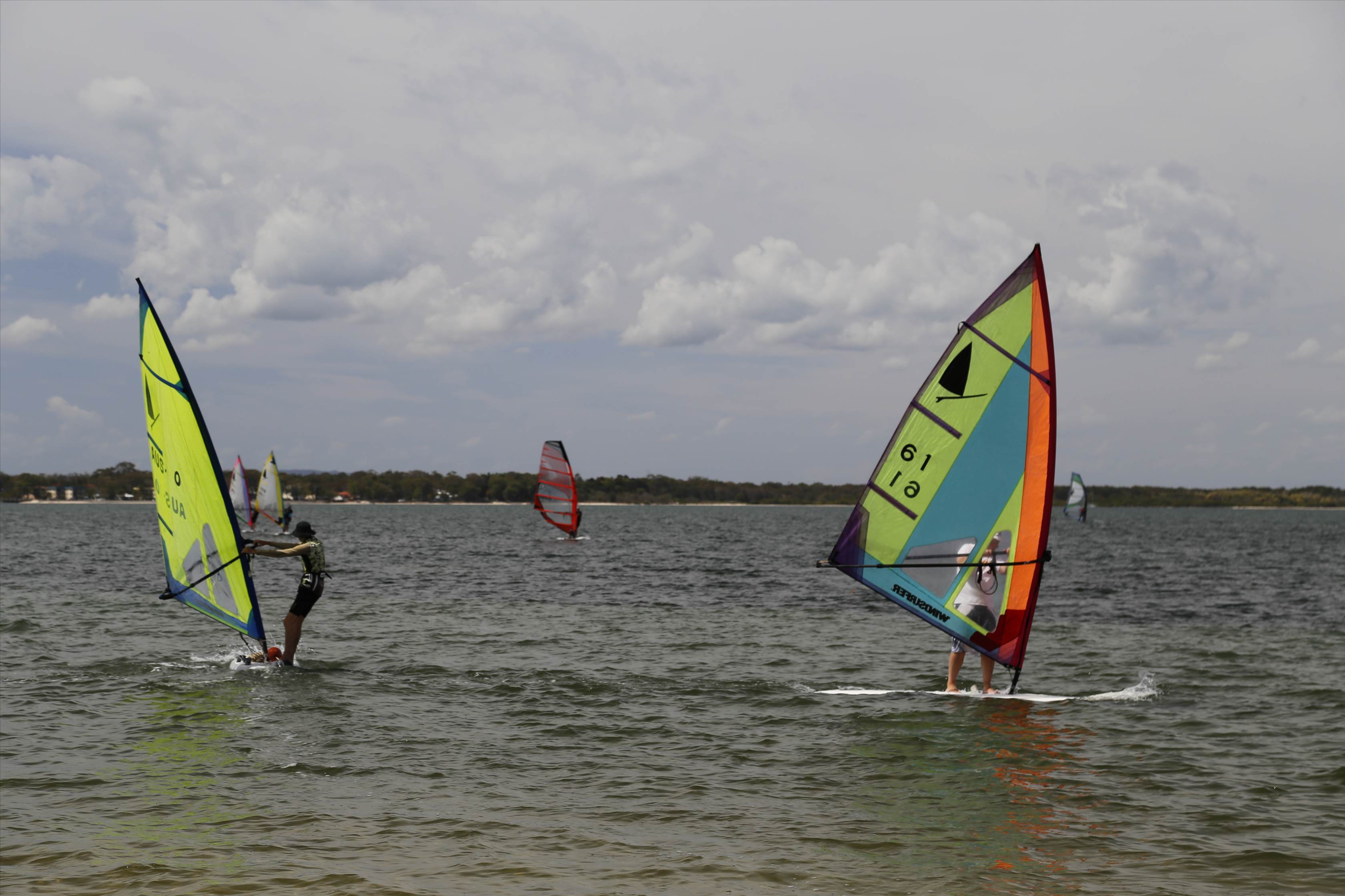 Windsurfer One Design racing
