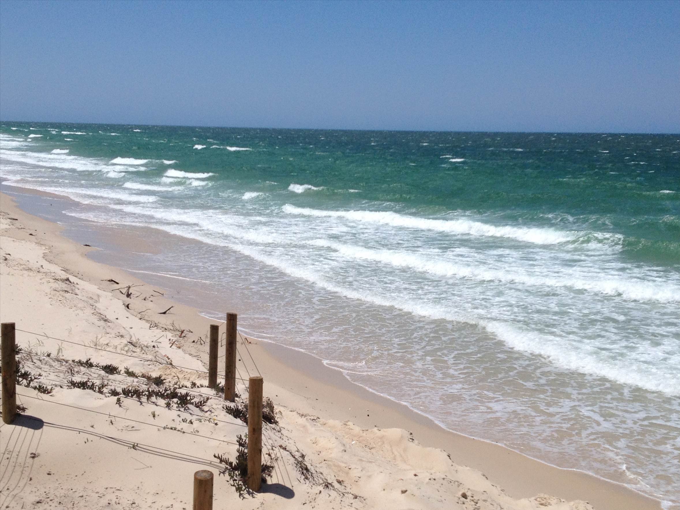 Bribie FR Wind