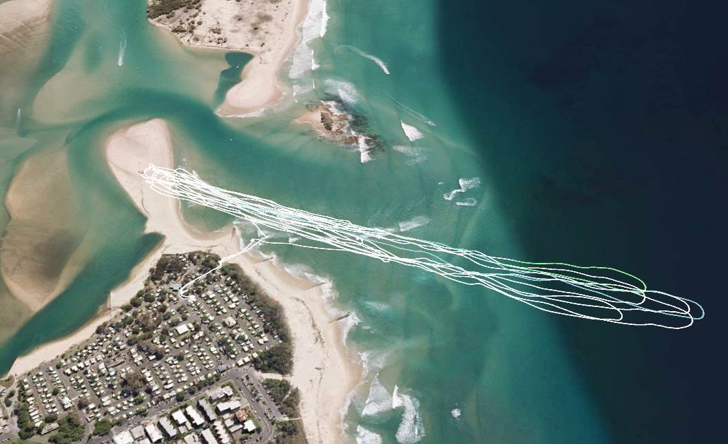 Cotton tree NE 2014 a