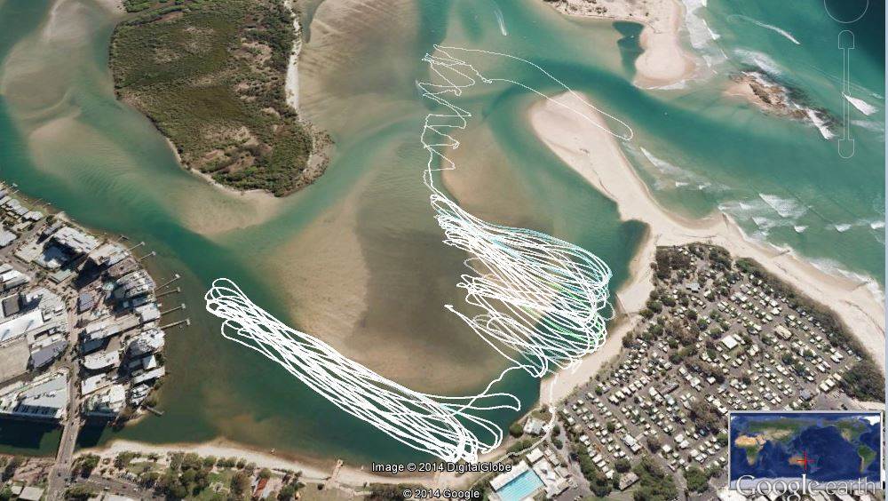 Cotton tree
