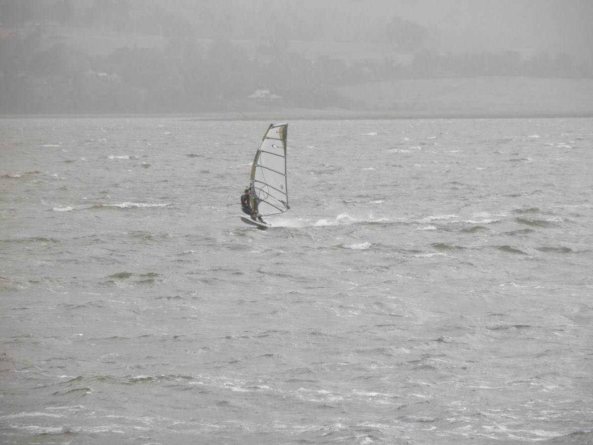Windy Rosevears