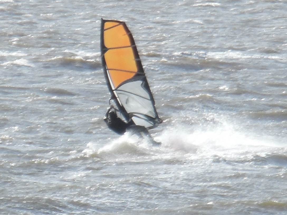 12 may 2015 rosevears 054