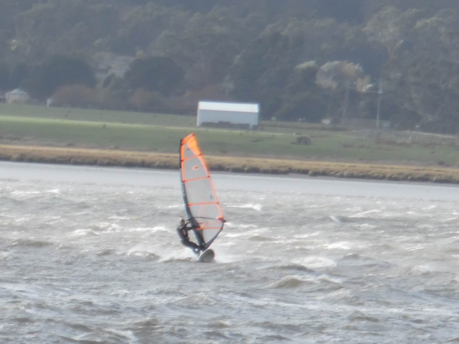 12 may 2015 rosevears 059