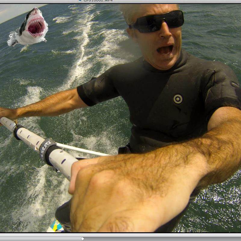 meshark