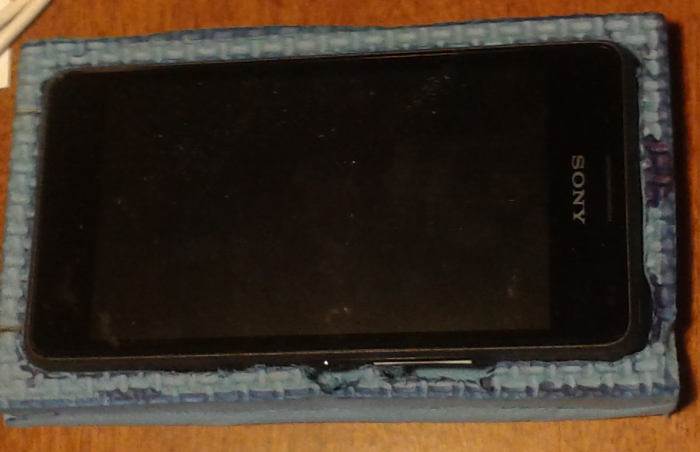 switch protecter