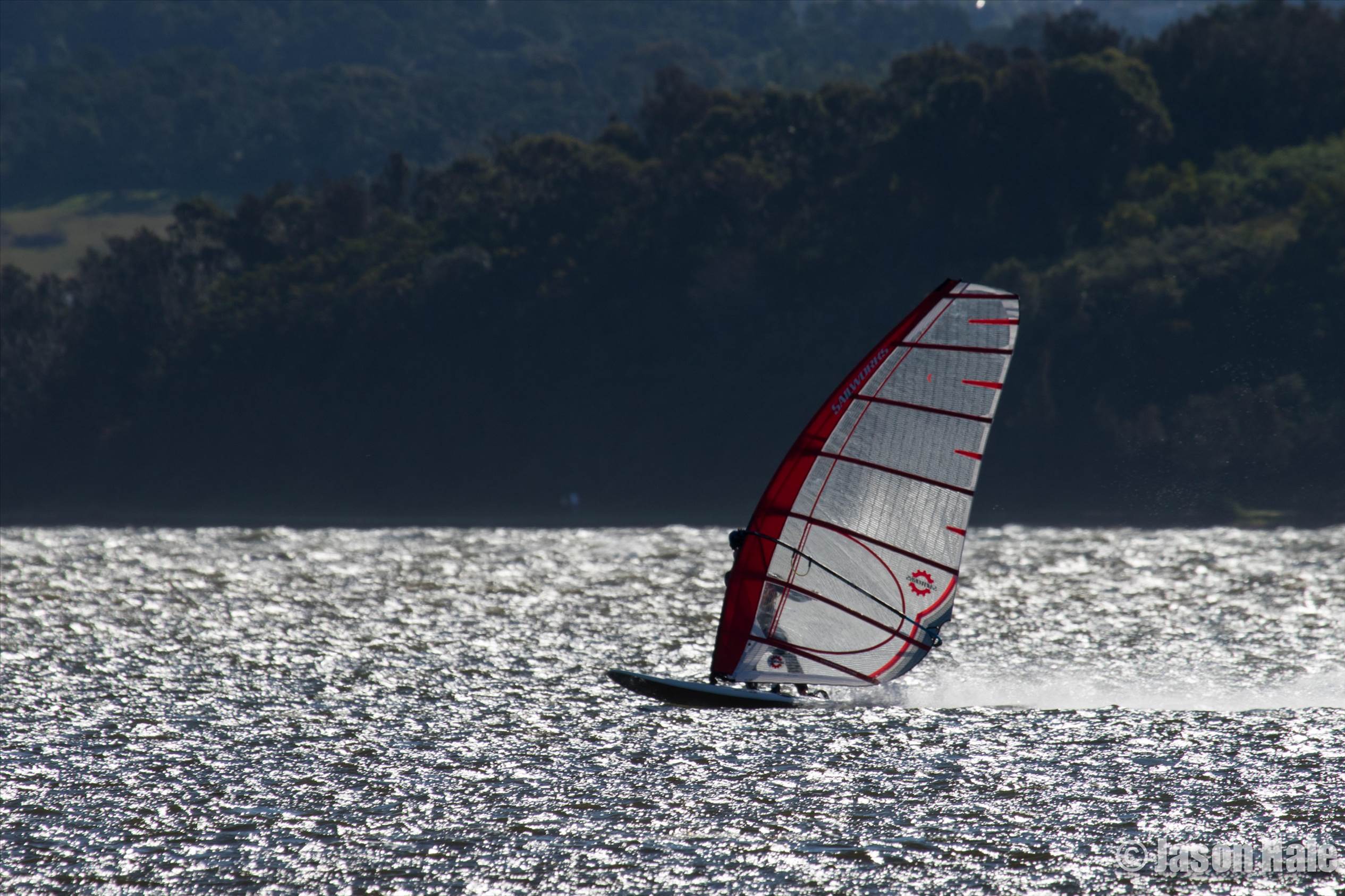 LakeIllawarra-1-11