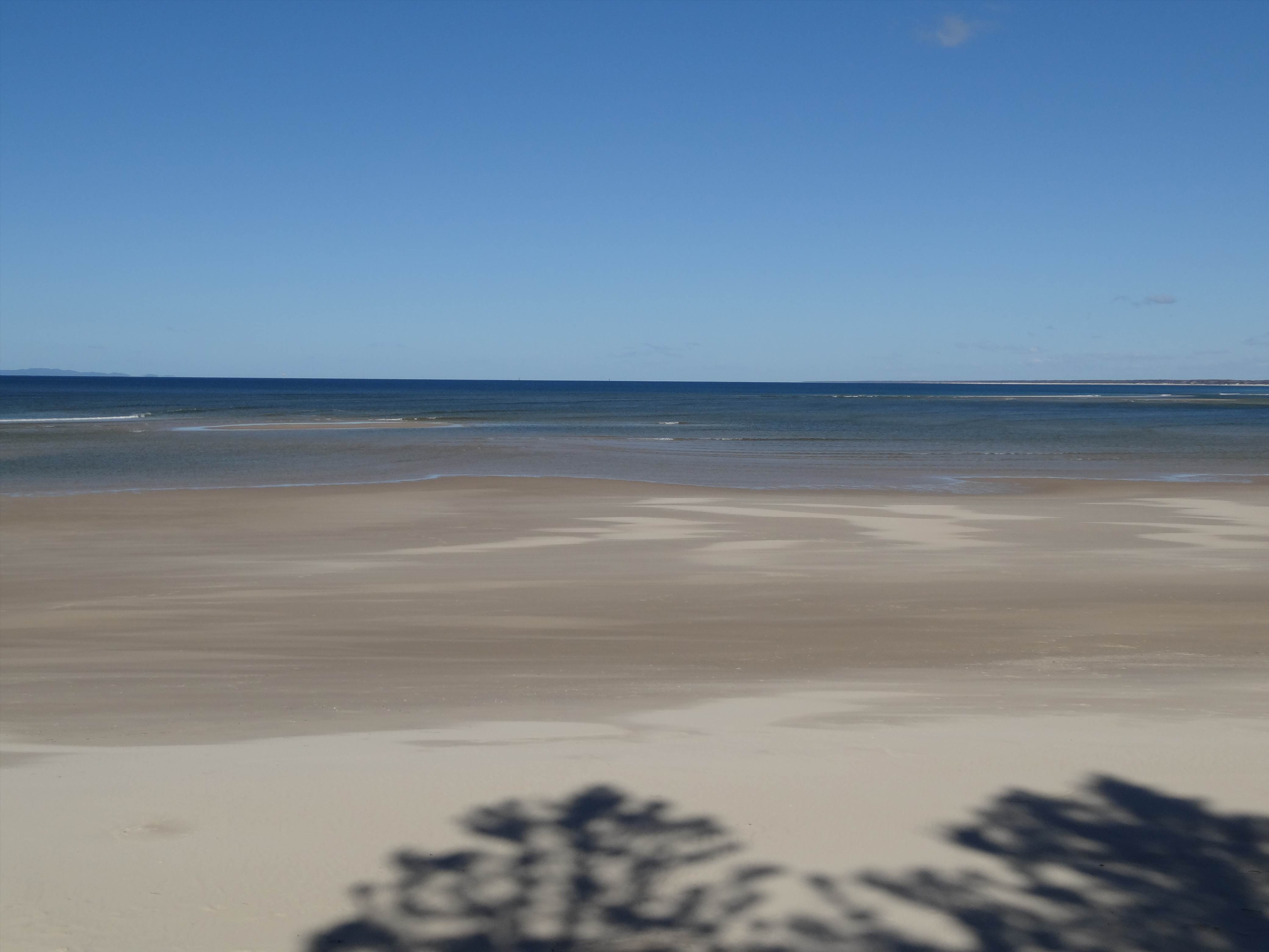 Winter WSW