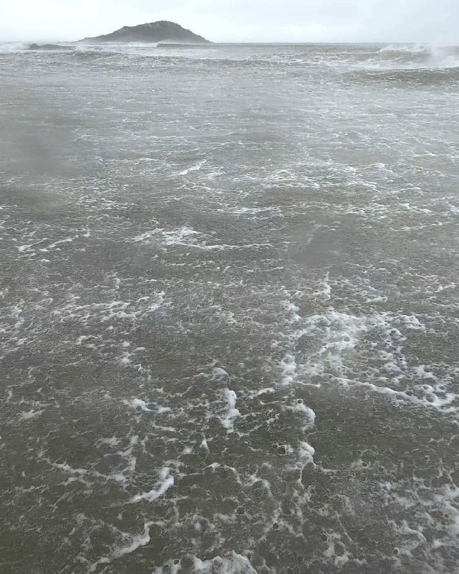 windy beach
