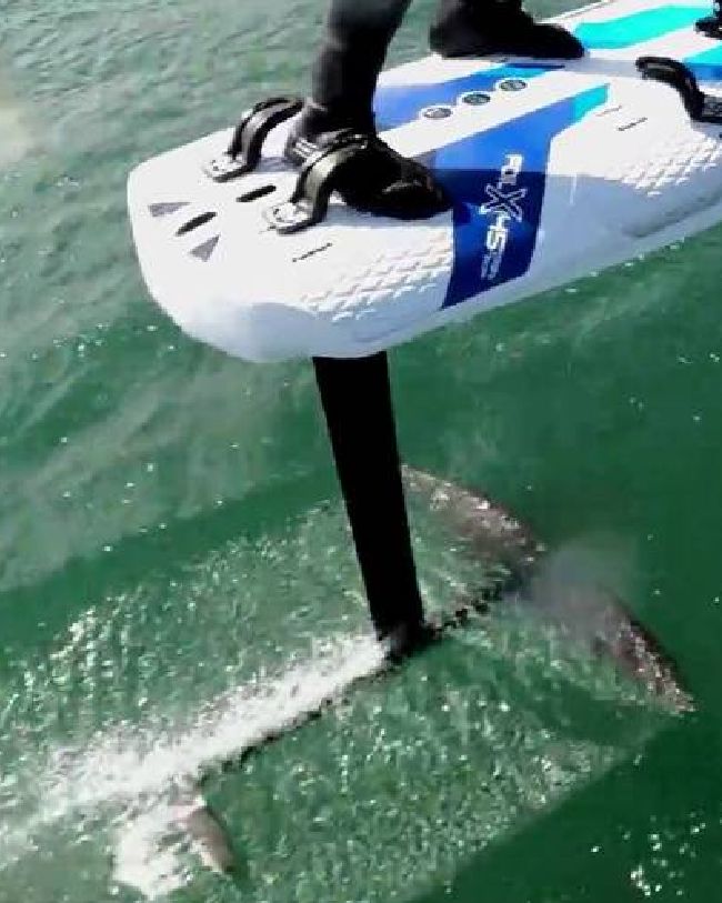 Windsurfing