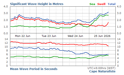 Cape Naturalist Live Swell Report