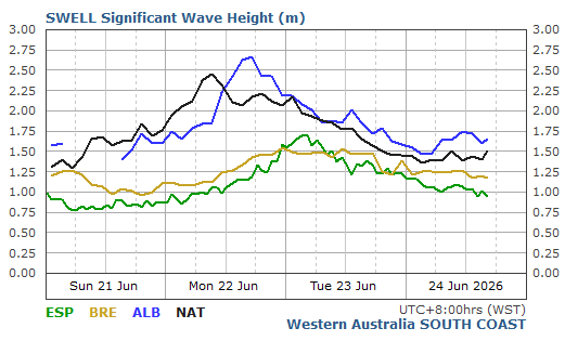 South Coast Live Wave/Swell Report