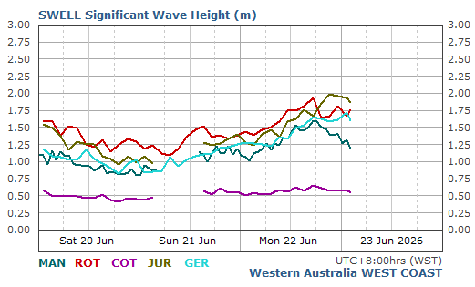 West Coast Live Wave/Swell Report