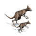 allenf