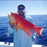 ARTFISHIN