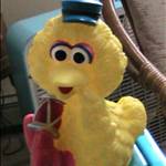 BigBird