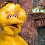 BigBurd