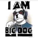 bigdog1
