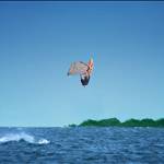 board crazy