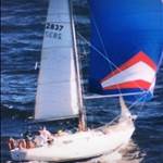 Currawong 30