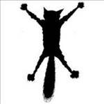 FlatCat