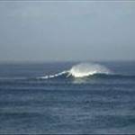 josh davy