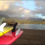 Kauaifiveo