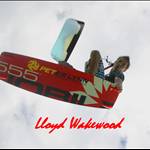 lloyd1991