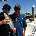 Marlin1