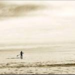 matt77